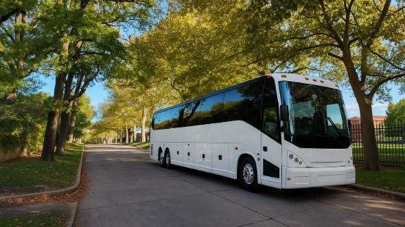 meriden bachelor and bachelorette party bus rentals